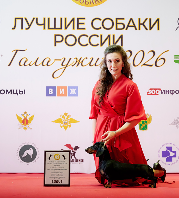 OLYMPIC SUN VALENTAIN - Победитель рейтинга Лучшие собаки России 2025!